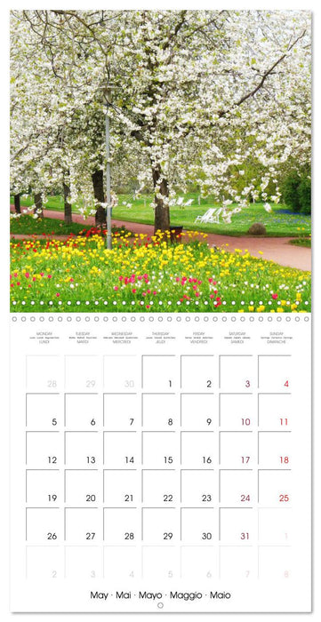 Time of Cherry Blossom (CALVENDO Monthly Calendar 2025)