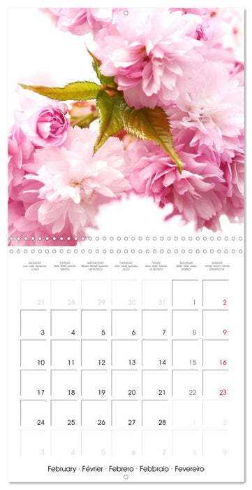 Arbres et arbustes la floraison (CALVENDO Calendrier mensuel 2025)