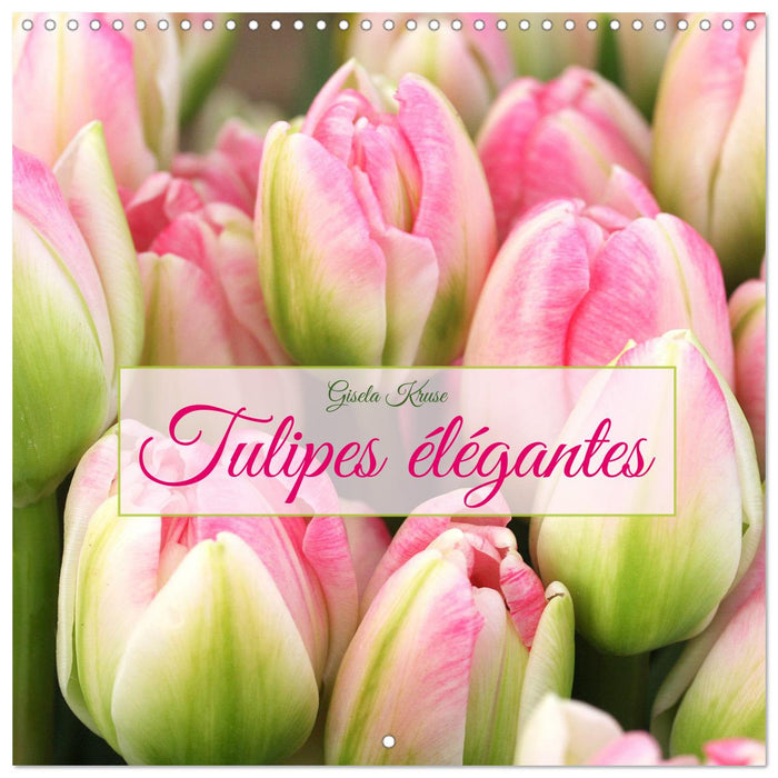 Tulipes élégantes (CALVENDO Calendrier mensuel 2025)