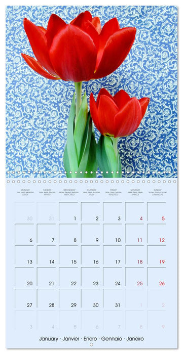 Tulipes élégantes (CALVENDO Calendrier mensuel 2025)