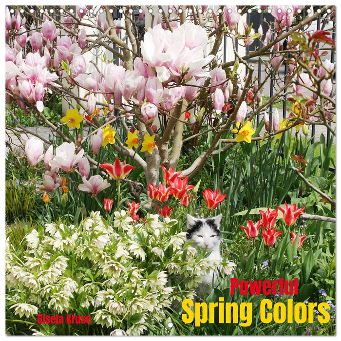 Powerful Spring Colors (CALVENDO Monthly Calendar 2025)