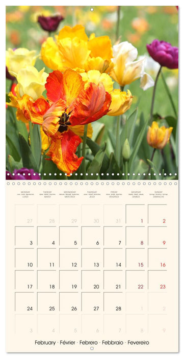 Powerful Spring Colors (CALVENDO Monthly Calendar 2025)