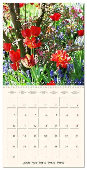 Powerful Spring Colors (CALVENDO Monthly Calendar 2025)