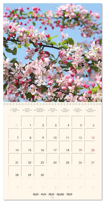 Powerful Spring Colors (CALVENDO Monthly Calendar 2025)