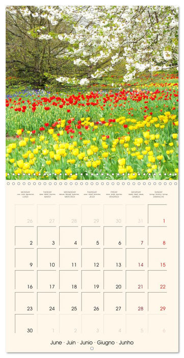 Powerful Spring Colors (CALVENDO Monthly Calendar 2025)