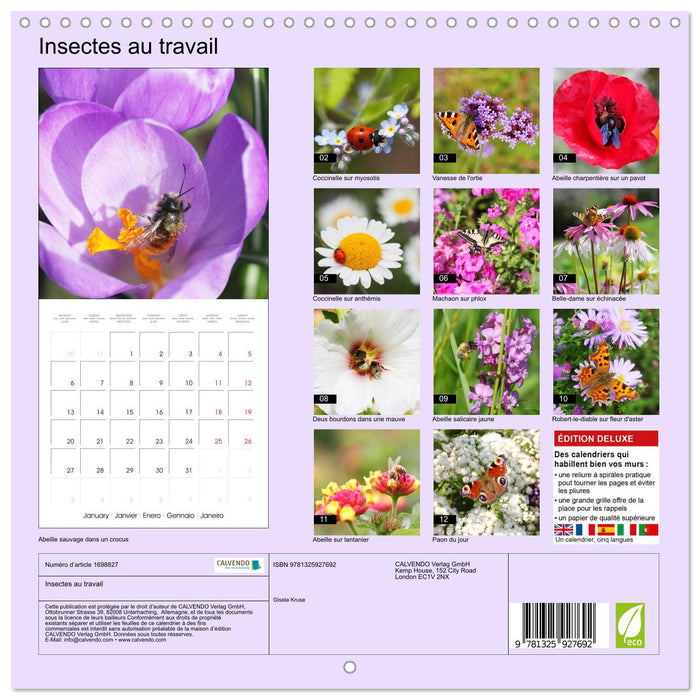 Insectes au travail (CALVENDO Calendrier mensuel 2025)