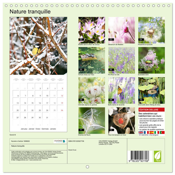 Nature tranquille (CALVENDO Calendrier mensuel 2025)