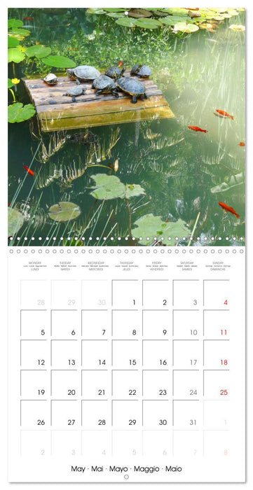 Nature tranquille (CALVENDO Calendrier mensuel 2025)