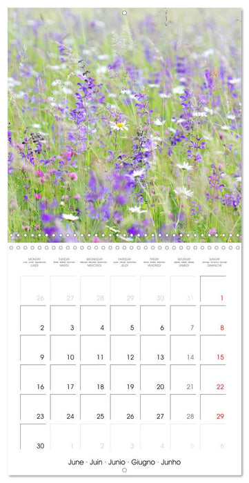 Nature tranquille (CALVENDO Calendrier mensuel 2025)