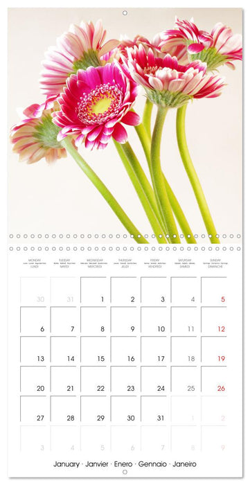 Petits bouquets frais (CALVENDO Calendrier mensuel 2025)