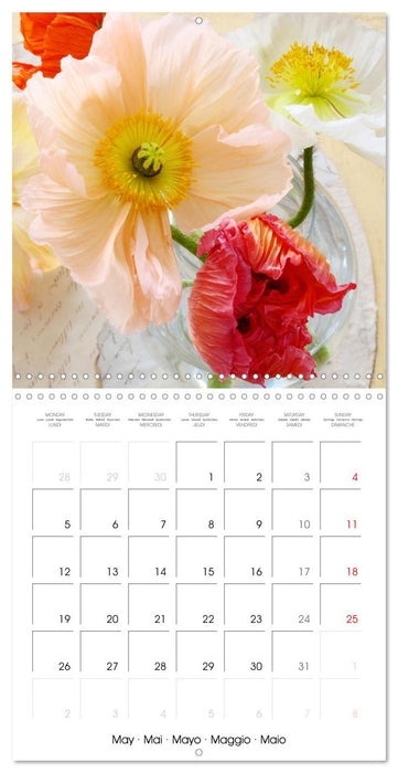 Petits bouquets frais (CALVENDO Calendrier mensuel 2025)