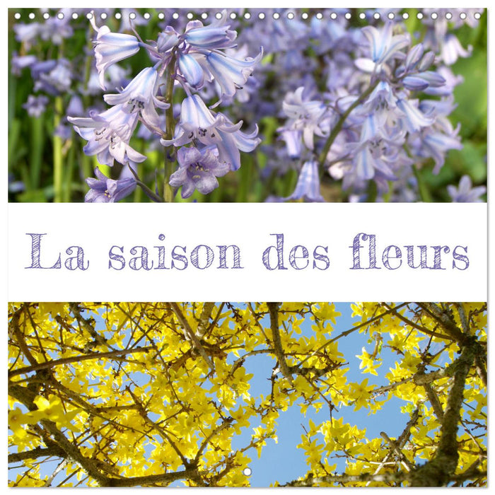 La saison des fleurs (CALVENDO Calendrier mensuel 2025)