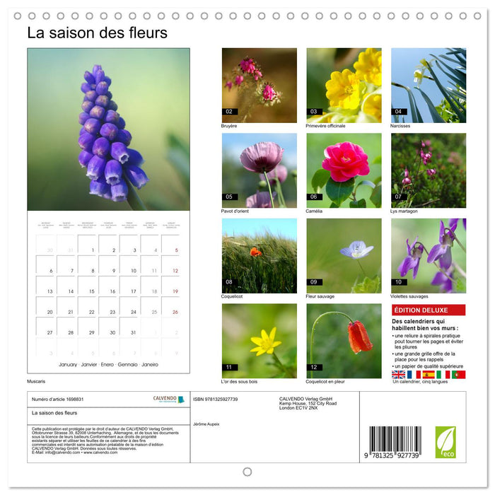 La saison des fleurs (CALVENDO Calendrier mensuel 2025)