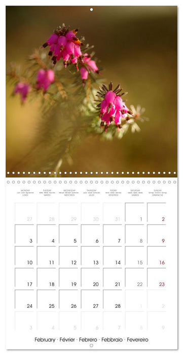 La saison des fleurs (CALVENDO Calendrier mensuel 2025)