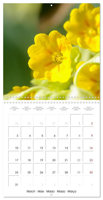 La saison des fleurs (CALVENDO Calendrier mensuel 2025)