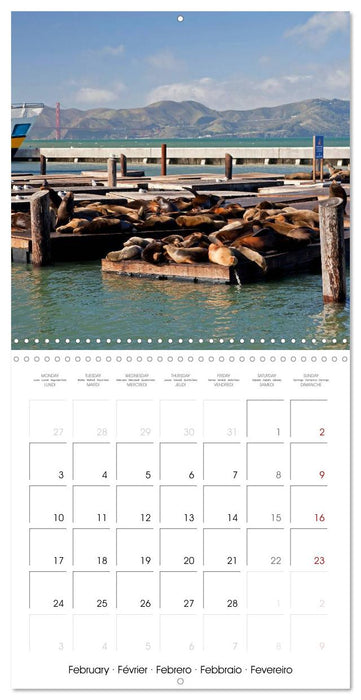 California - San Francisco (CALVENDO Monthly Calendar 2025)