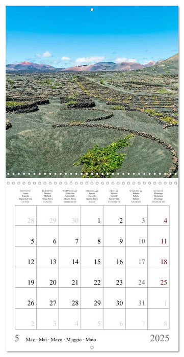 Canary Islands - Volcanic Beauties (CALVENDO Monthly Calendar 2025)