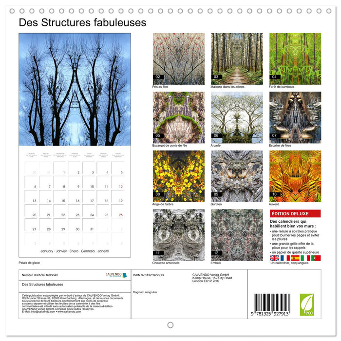 Des Structures fabuleuses (CALVENDO Calendrier mensuel 2025)