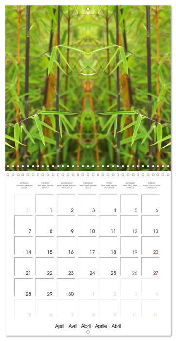 Des Structures fabuleuses (CALVENDO Calendrier mensuel 2025)