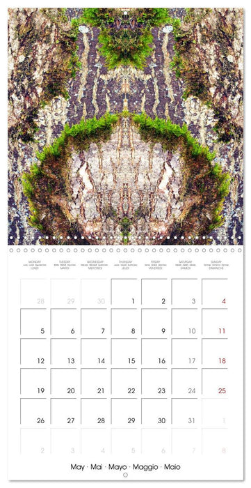 Des Structures fabuleuses (CALVENDO Calendrier mensuel 2025)