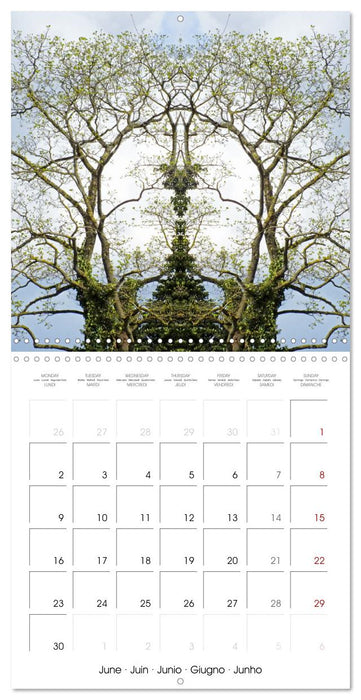 Des Structures fabuleuses (CALVENDO Calendrier mensuel 2025)