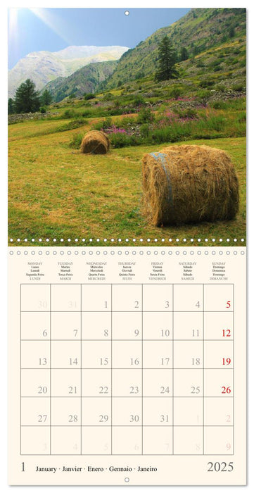 Ambiance montagneuse (CALVENDO Calendrier mensuel 2025)