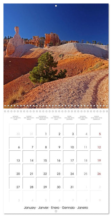 AMERICA Exciting Places (CALVENDO Monthly Calendar 2025)