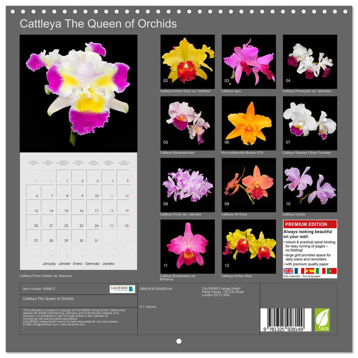 Cattleya The Queen of Orchids (CALVENDO Monthly Calendar 2025)