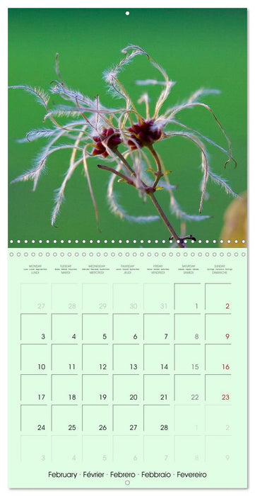 Wild Wild Seeds (CALVENDO Monthly Calendar 2025)