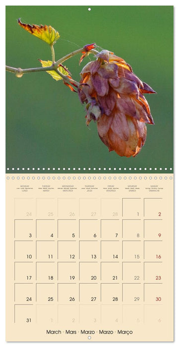 Wild Wild Seeds (CALVENDO Monthly Calendar 2025)