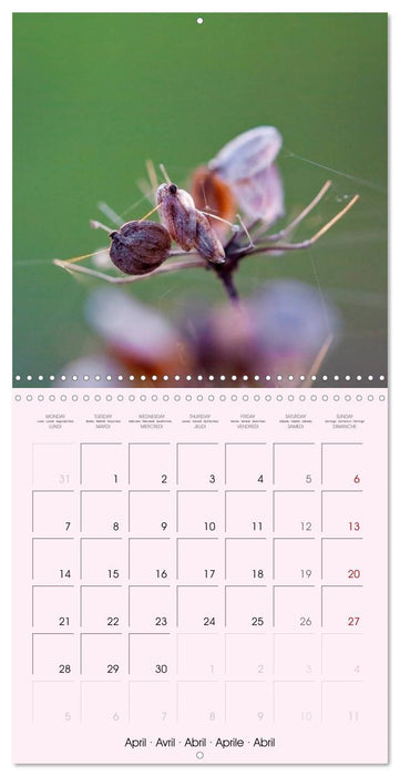 Wild Wild Seeds (CALVENDO Monthly Calendar 2025)