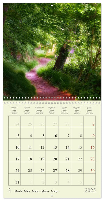 Magical Forest Of The Elves (CALVENDO Monthly Calendar 2025)