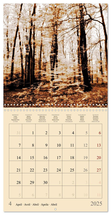 Magical Forest Of The Elves (CALVENDO Monthly Calendar 2025)