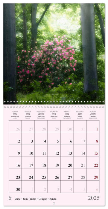 Magical Forest Of The Elves (CALVENDO Monthly Calendar 2025)