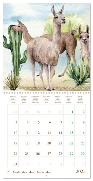 WE LOVE LLAMAS (CALVENDO Monthly Calendar 2025)