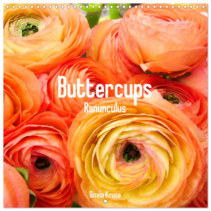 Buttercups Ranunculus (CALVENDO Monthly Calendar 2025)