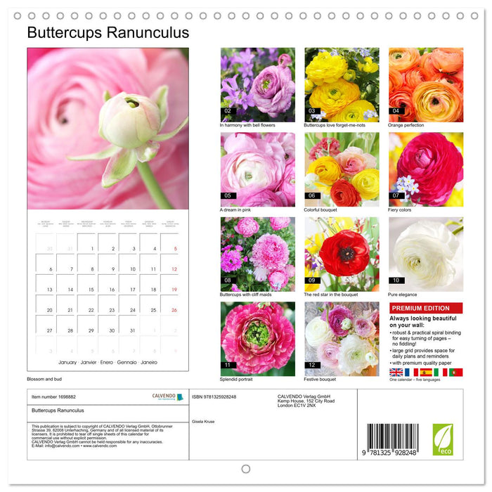 Buttercups Ranunculus (CALVENDO Monthly Calendar 2025)