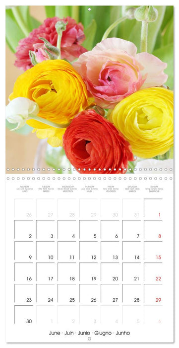 Buttercups Ranunculus (CALVENDO Monthly Calendar 2025)