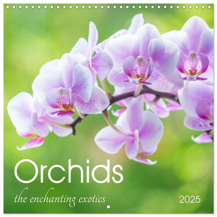 Orchids the enchanting exotics (CALVENDO Monthly Calendar 2025)