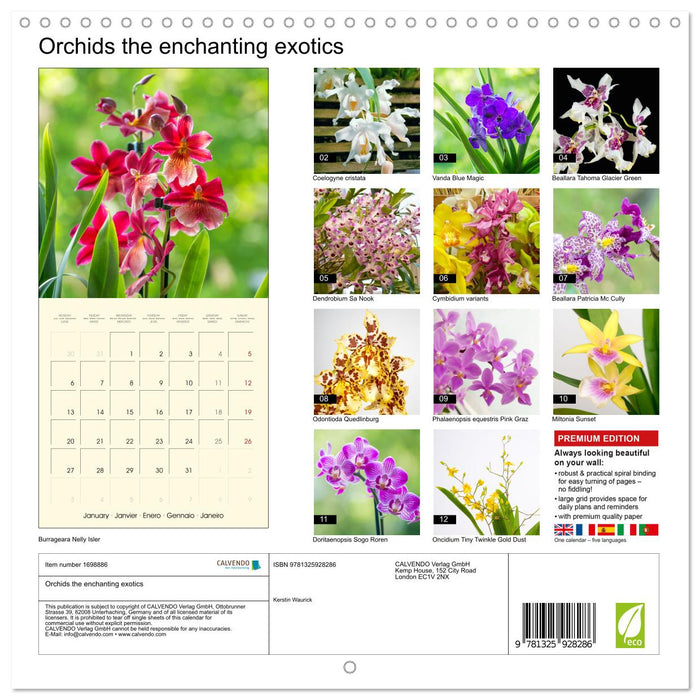 Orchids the enchanting exotics (CALVENDO Monthly Calendar 2025)