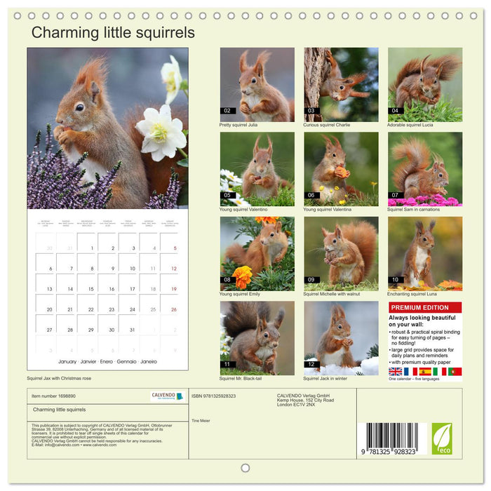 Charming little squirrels (CALVENDO Monthly Calendar 2025)