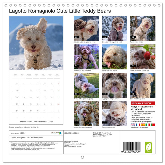 Lagotto Romagnolo Cute Little Teddy Bears (CALVENDO Monthly Calendar 2025)