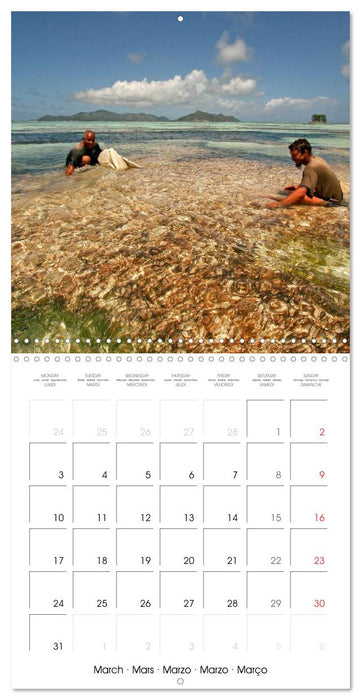 dream beaches - Seychelles (CALVENDO Monthly Calendar 2025)