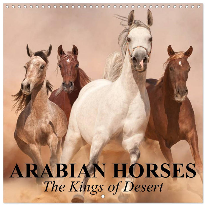 Arabian Horses • The Kings of Desert (CALVENDO Monthly Calendar 2025)