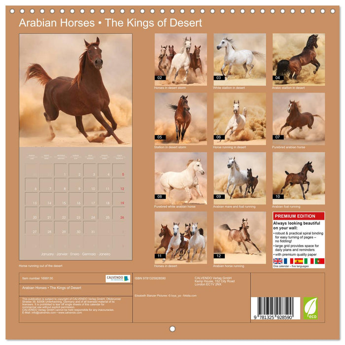 Arabian Horses • The Kings of Desert (CALVENDO Monthly Calendar 2025)