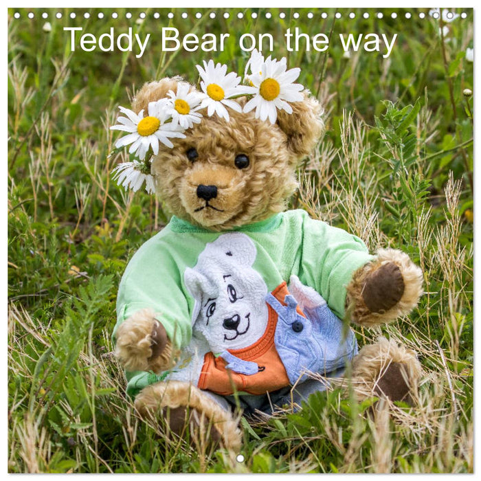 Teddy Bear on the way (CALVENDO Monthly Calendar 2025)