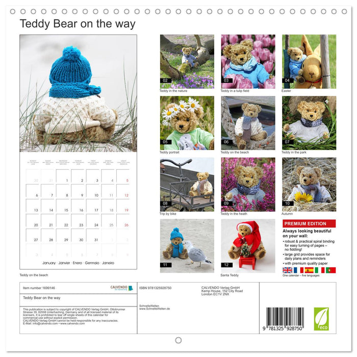 Teddy Bear on the way (CALVENDO Monthly Calendar 2025)