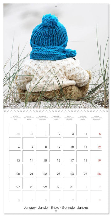 Teddy Bear on the way (CALVENDO Monthly Calendar 2025)