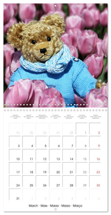 Teddy Bear on the way (CALVENDO Monthly Calendar 2025)