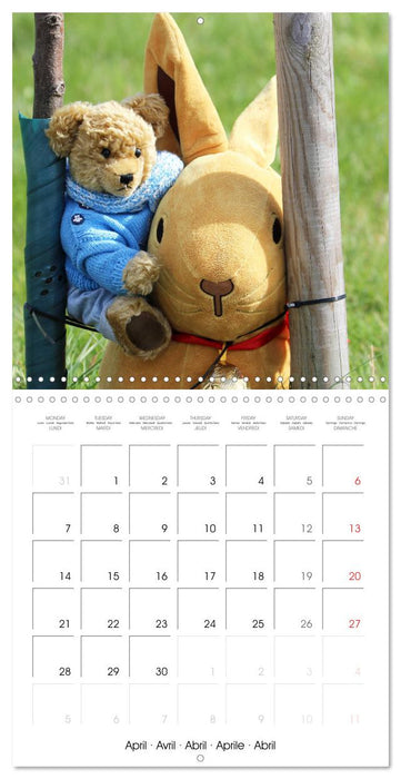 Teddy Bear on the way (CALVENDO Monthly Calendar 2025)